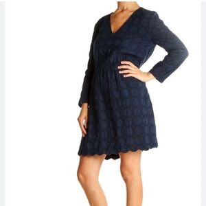 Navy Eyelet J. Crew Dress